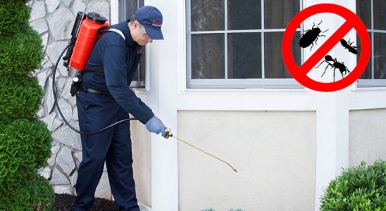 Kapaklı Uçan Haşere İlaçlama böcek ilaçlama ve haşere kontrolü — ilaclama-tr.com